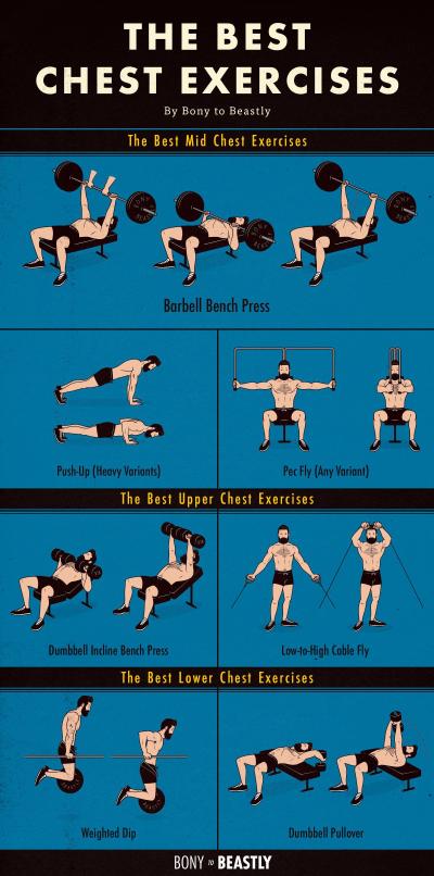 How Many Calories Are Burned in a Chest Workout in Urdu