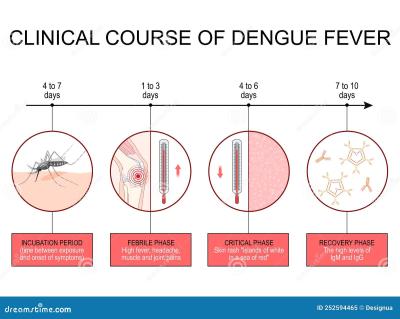How Long Does Dengue Last in Urdu
