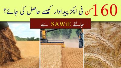 How Much Kanal in One Acre in Urdu