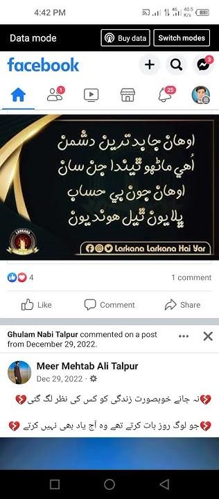 How Many People Fly a Day in Urdu