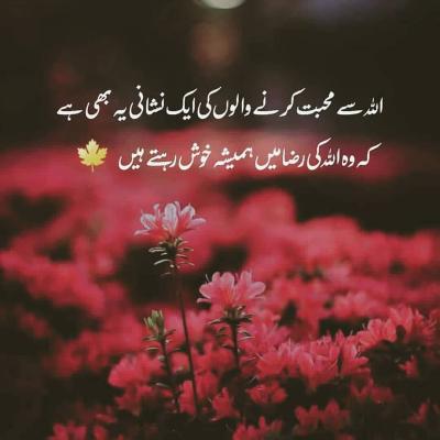 How Do You Know If She Loves You in Urdu