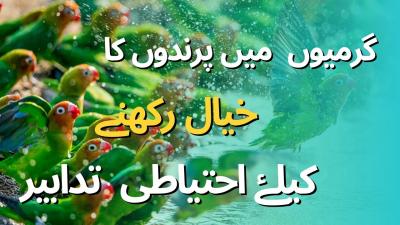 How I Spent My Summer in Urdu