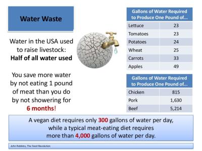How Much Does a Gallon of Water Cost in California in Urdu