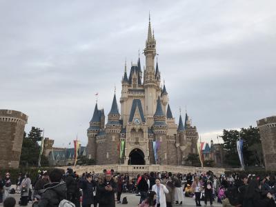 How Many Disneyland in the World in Urdu