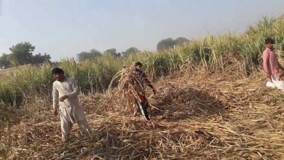 How to Check Height in Feet in Urdu