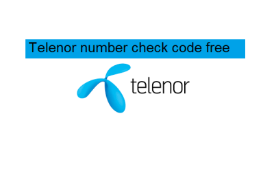 How to Check Telenor Package Status in Urdu