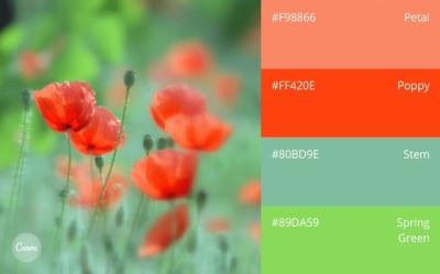 How to Make Lavender Color in Urdu