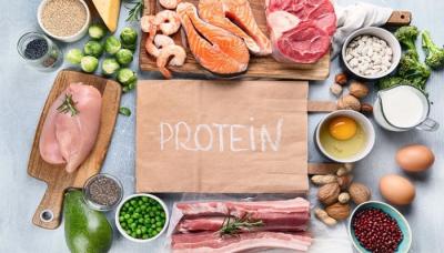 How Much Time Does It Take to Digest Protein in Urdu