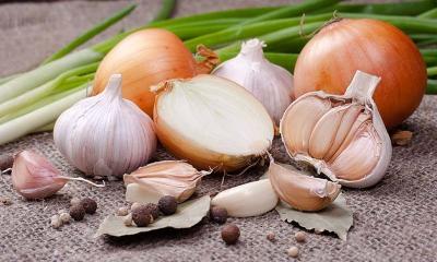 How to Grow Onions in Urdu