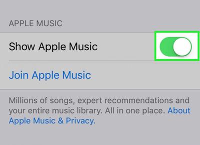 How to Download Music on iPhone in Urdu