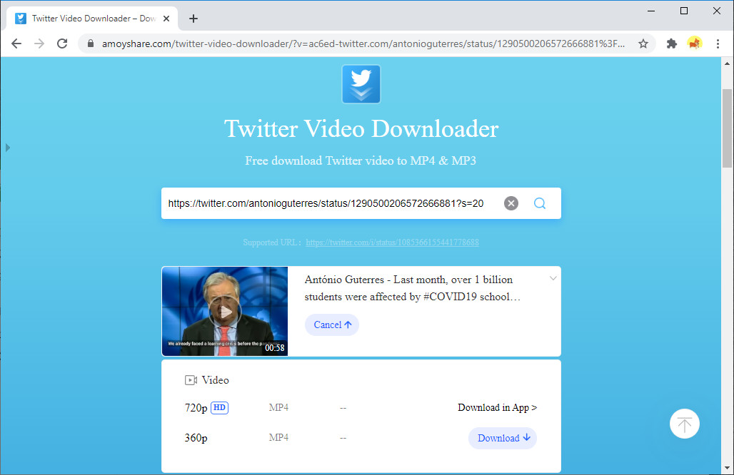 How to Download Twitter Videos Nothing Fishy and No Ads