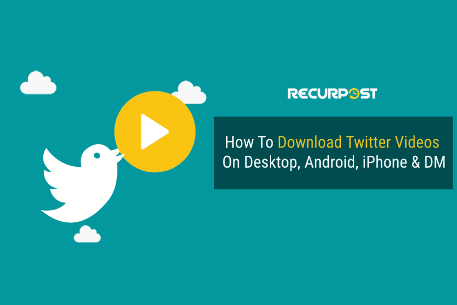 How to Download Twitter Videos on Android Desktop iPhone